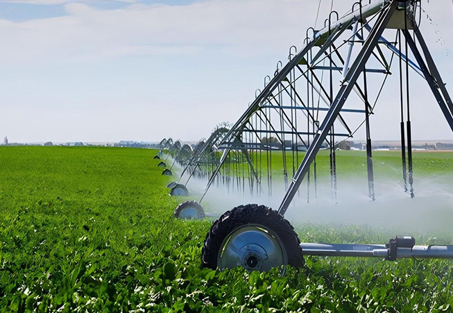 Agriculture